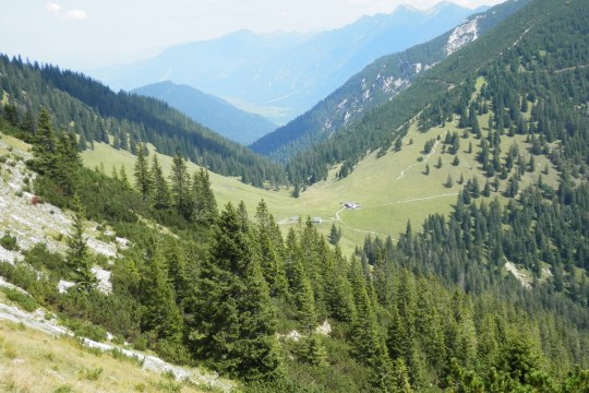 Die malerische Alm im Ammergebirge zeigt die Schönheit der Natur | © Michael Schödl