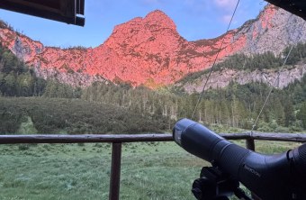 Alpenglühen  |© Seraphina Schönherr