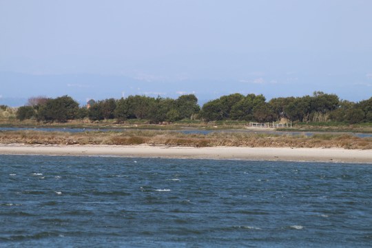Die Bucht des Ria de Averio an der Westküste Portugal | © Daniel Kaltenthaler