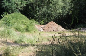 Cham | © Erika Babl (Cham)