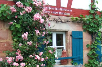 Begrünte Fassade | © B. Helbig