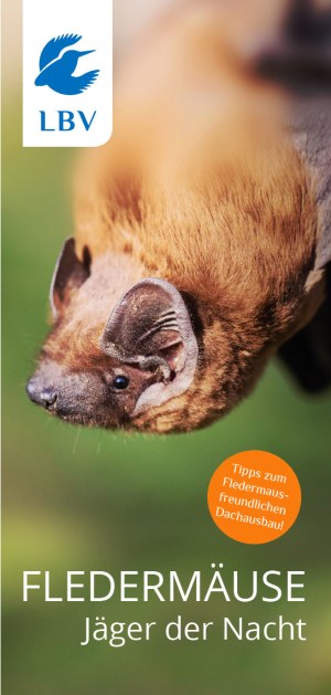 Cover LBV-Flyer Fledermäuse - Jäger der Nacht