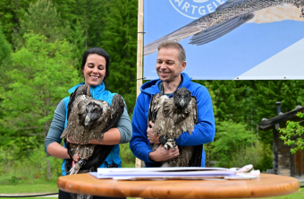 Die beiden Neuankömmlinge  |© Hansruedi Weyrich