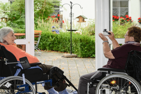 Seniorinnen mit Plüschvogel | © Tobias Tschapka