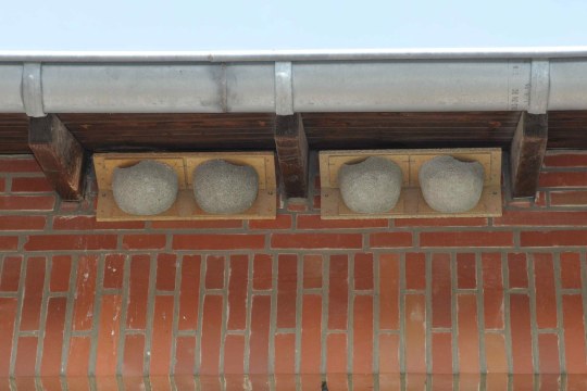 Nistkasten für Schwalben an der Hauswand | © Rolf Thiemann