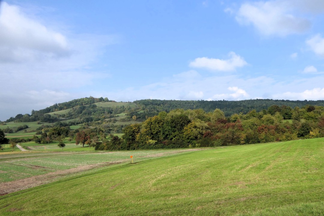 Biotopverbund | © Franziska Back