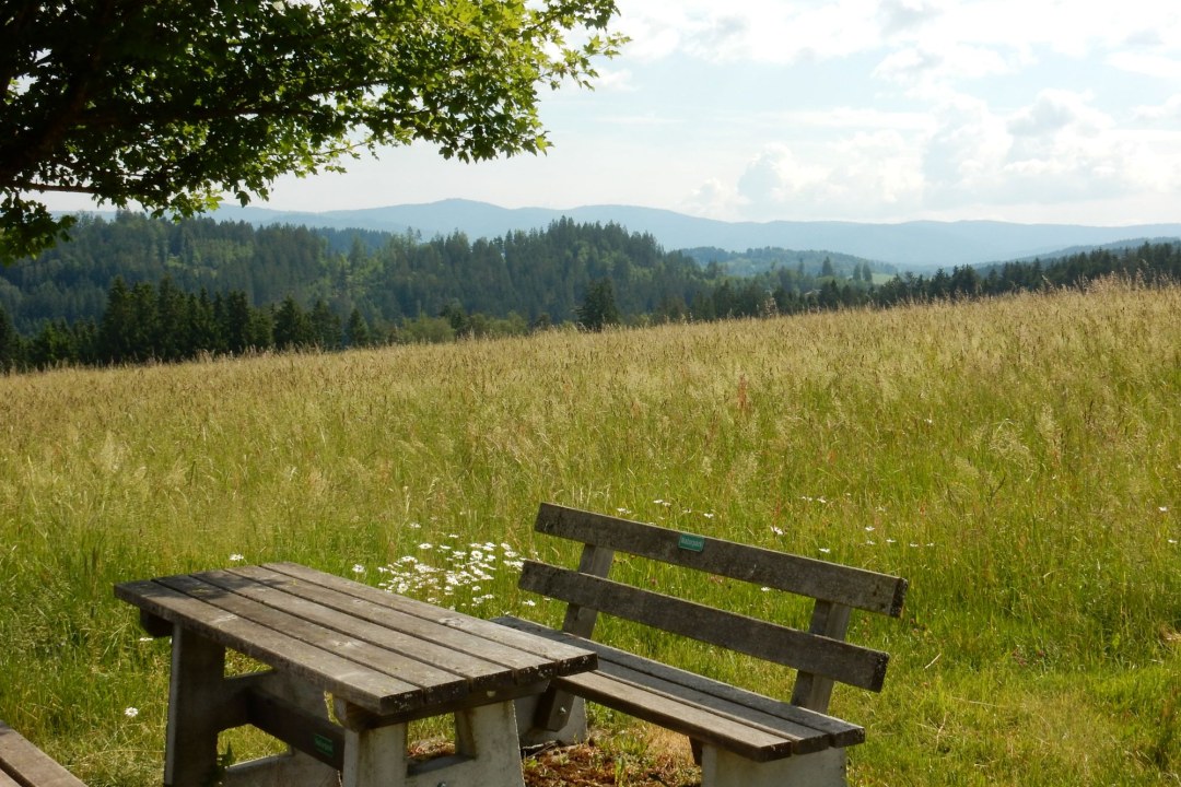 Landschaft nördlich von Schweinhütt wird von der Ortsumgehung durchschnitten werden © Christian Stierstorfer