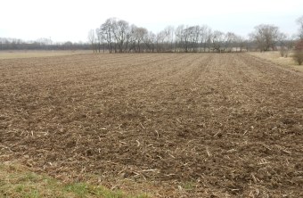 Projektfläche Straubing März 2021 | © Franziska Wenger