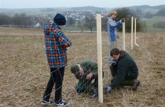 Schutzzaun für Rebhühner in Pfaffenhofen | © LBV
