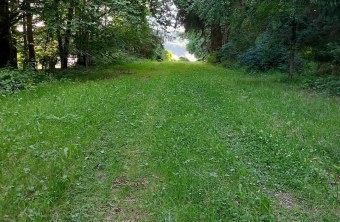 Neumarkt | © Sabine Schatz (Neumarkt)