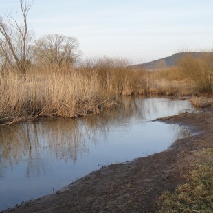 Schwarzach nach Renaturierung | © Herbst