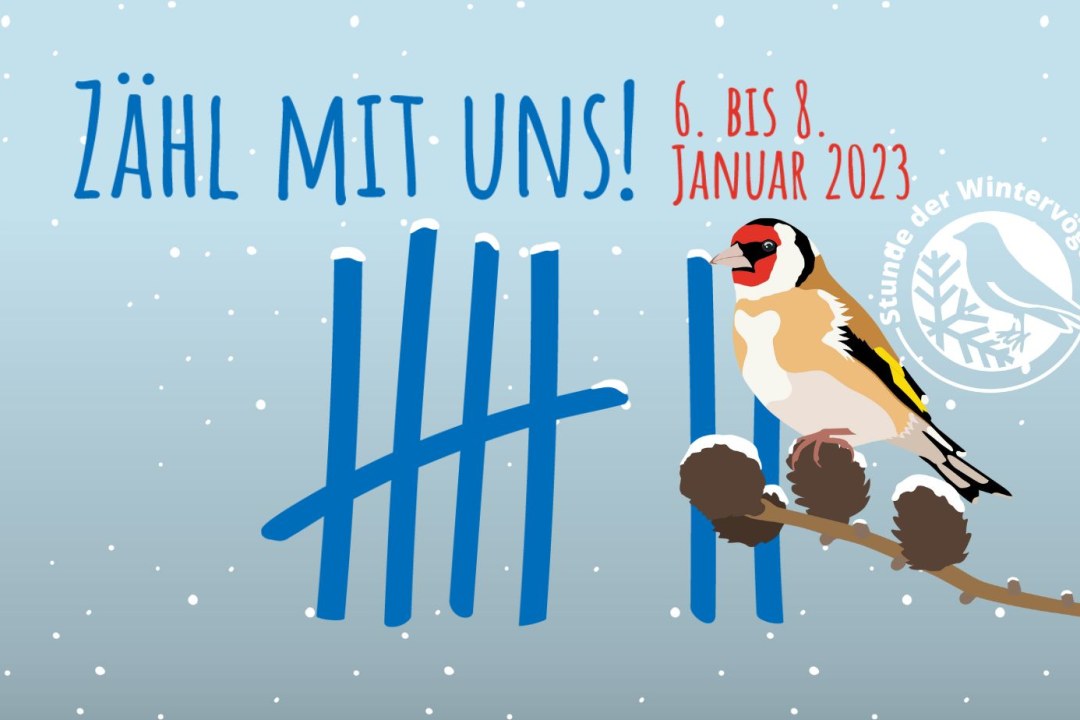 Stunde der Wintervögel 2023 | © LBV
