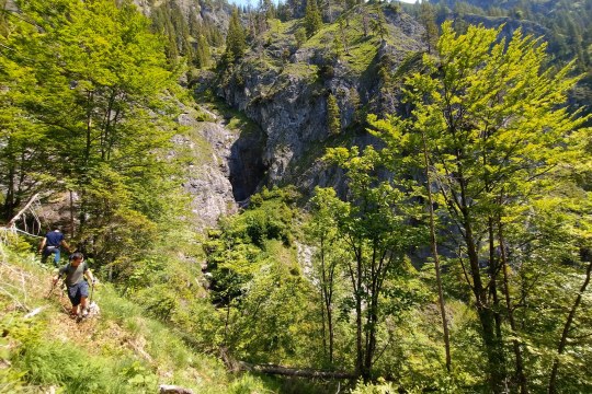 Toni Wegscheider und David Schuhwerk erkunden einen grünen Berghang in Bayern | © Toni Wegscheider | © Toni Wegscheider, LBV