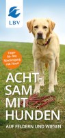Hundeflyer Achtsam mit Hund