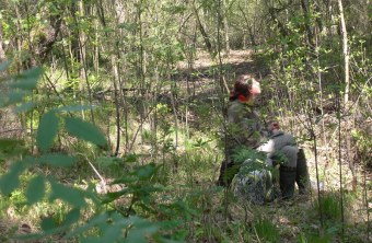 Biologin sitzt im Wald und beobachtet einen besenderten Kuckuck | © F. Herzog
