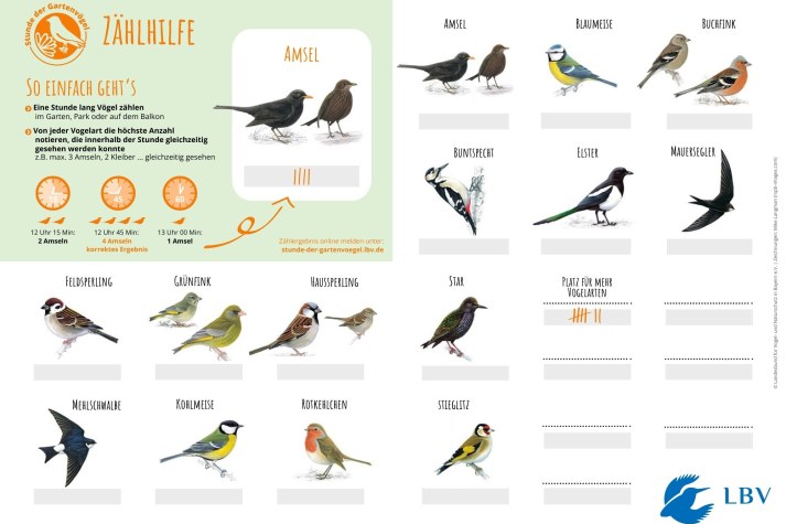 Zählhilfe Stunde der Gartenvögel 2025