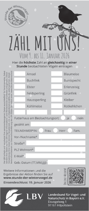 Zeitungsmeldebogen SW 2026 80x189