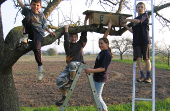 Kinder montieren Steinkauzkasten | © LBV