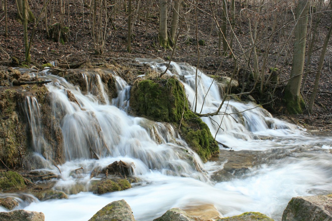 Kalktuffbach im Wald mit wasserfallähnlichen Stufen (LBV-Archivbild) | © Anne Schneider