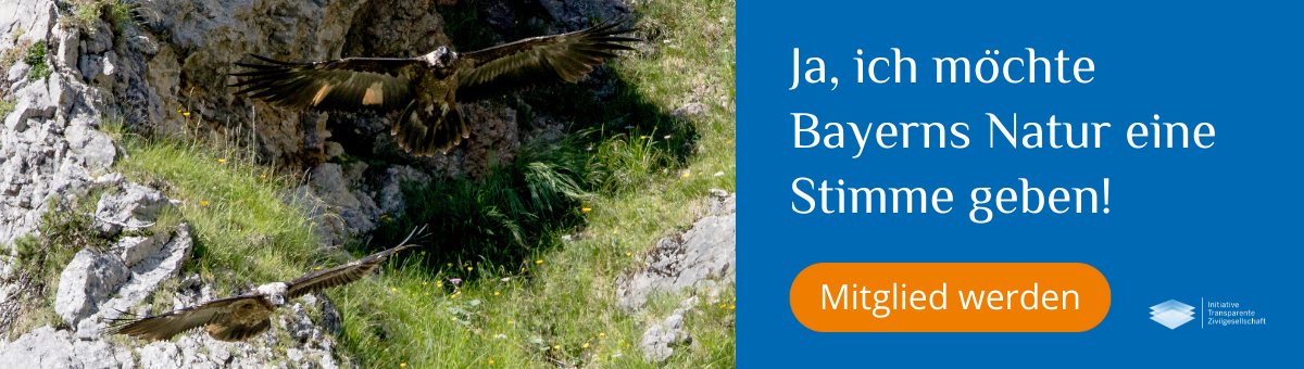 Banner Patenschaft Bartgeier & Alpen Wally und Bavaria | © Richard Straub