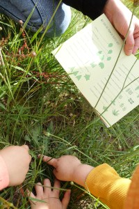 | Erkundungshilfen © LBV Kiga