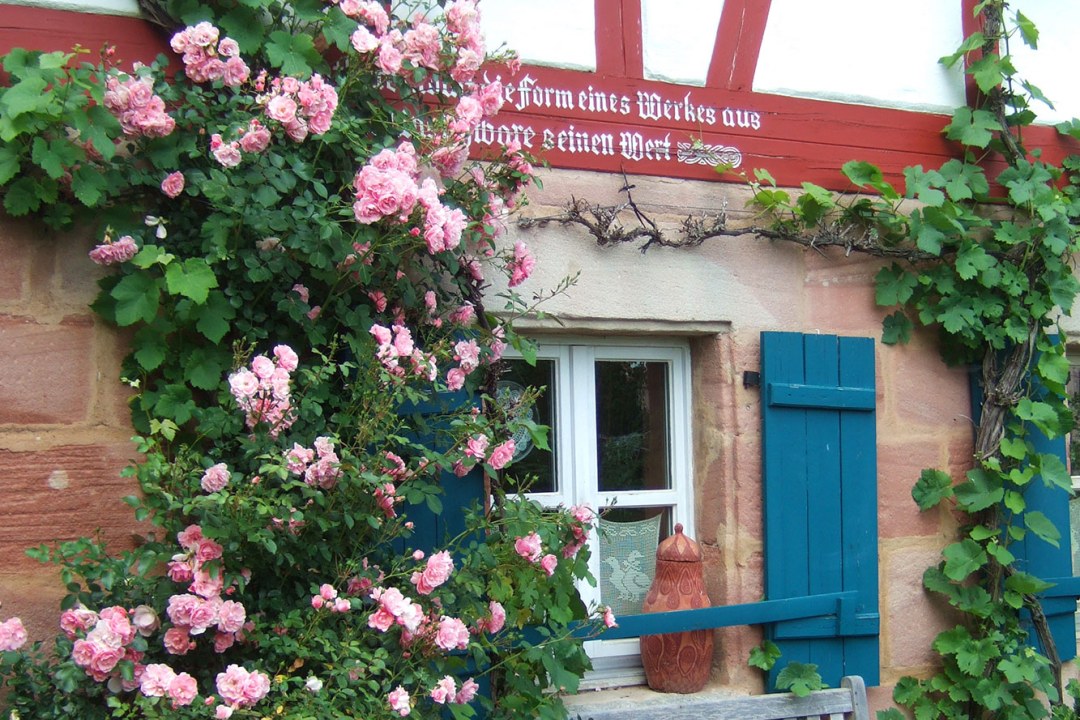 Begrünte Fassade | © B. Helbig