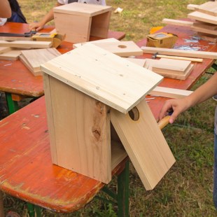 Fertiger Staren-Nistkasten steht auf einem Tisch, ein Kind daneben | © memo AG