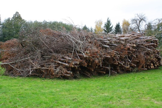 Aufgeschichteter Holzhaufen | © Peter Bria