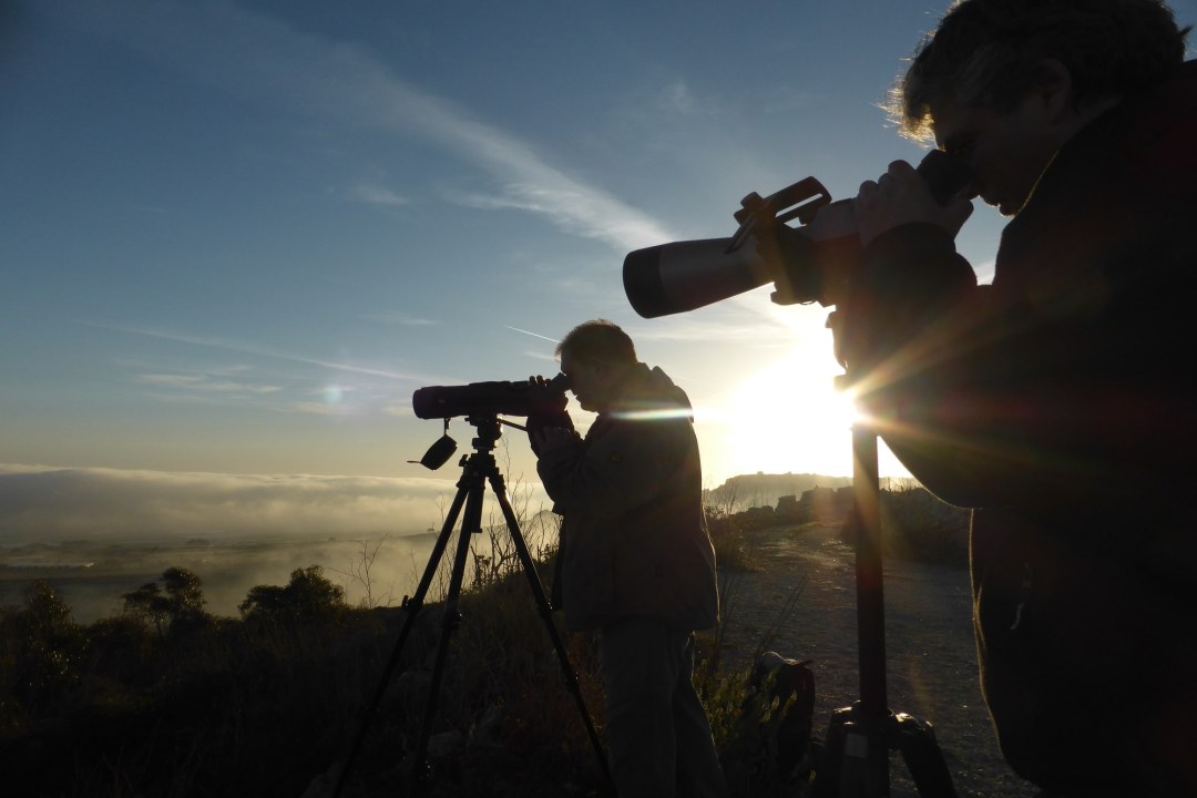 Bird Guards | © CABS