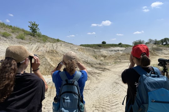 LBV-Hochschulgruppen bei der Vogelbeobachtung | © Isabel Rohde