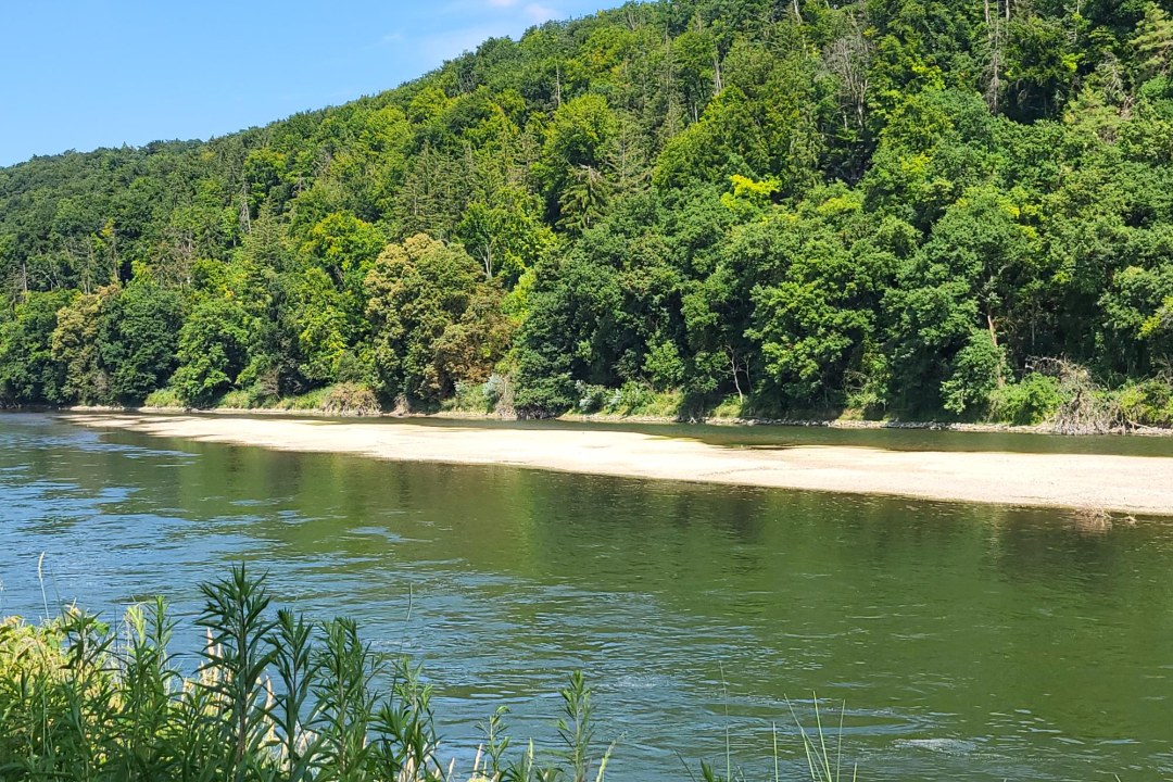 Flussmittige Kiesbank in Danau bei Staubing | © LBV