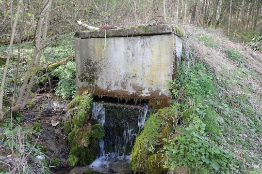 Überlauf der Quellfassung vor der Renaturierung | © Eva Schubert