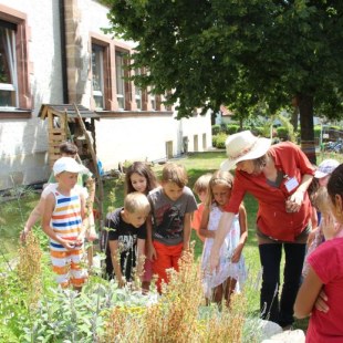 Schulgarten-Wettbewerb 2016 Grundschule Schnaittach Kräuter | © Grundschule Schnaittach