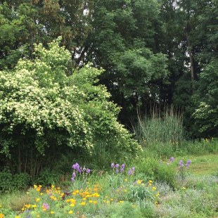 Schulgarten-Wettbewerb 2016 Gustav-Woehrnitz-Mittelschule Garten | © Gustav-Woehrnitz-Mittelschule