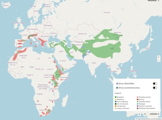 Karte zeigt das Verbreitungsgebiet des Bartgeiers  | © Birdlife International