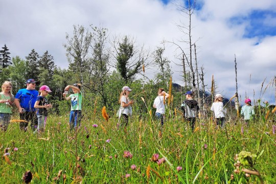 Kinder erkunden eine blühende Wiese und erleben Vielfalt | © Monika Schirutschke