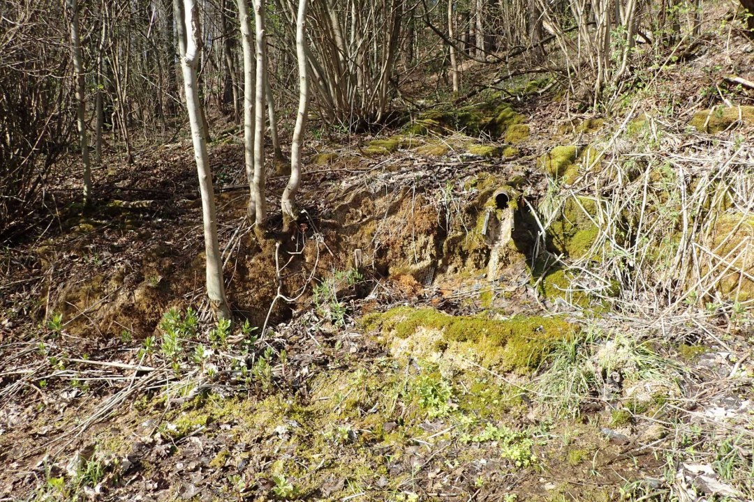 Zustand 2017 Quellbach Drügendorf | © Eva Schubert