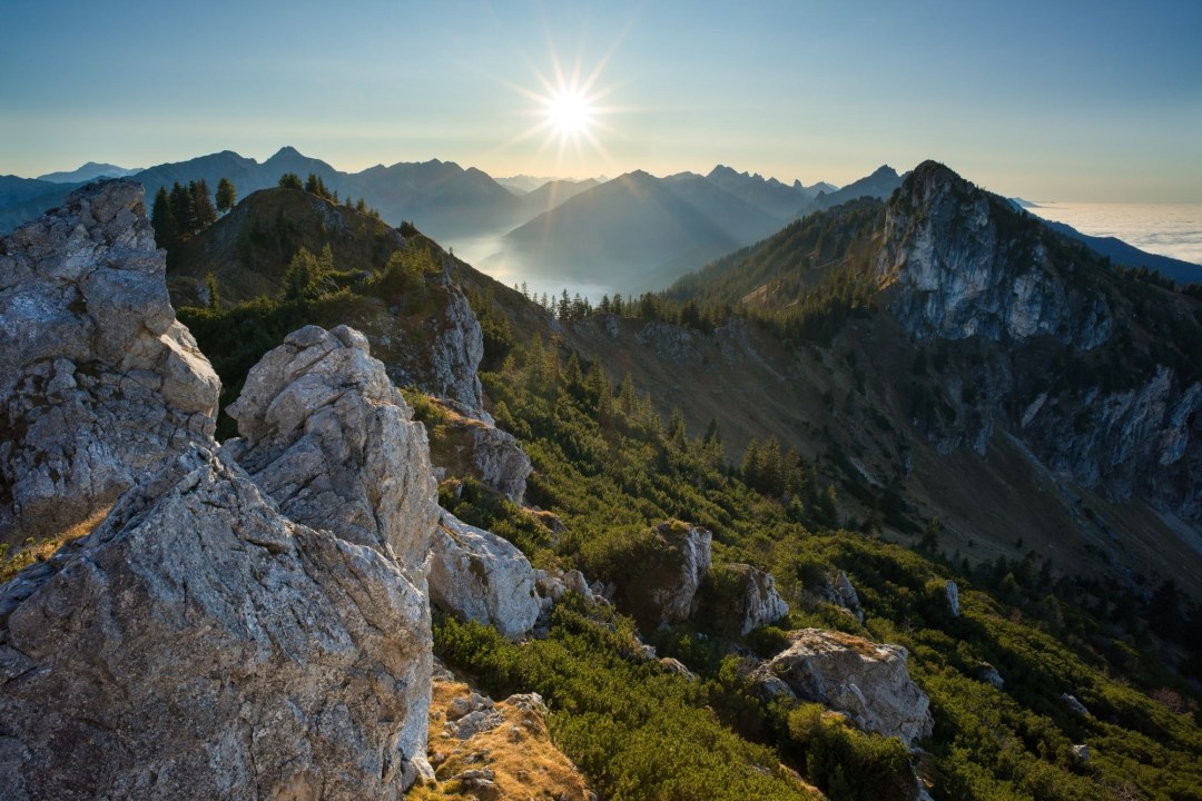 Ammergebirge mit Fichtenwald | © Dr. Olaf Broders