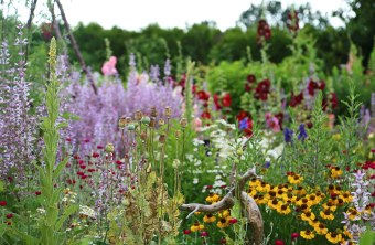 Artenreicher Garten | © Peter Bria