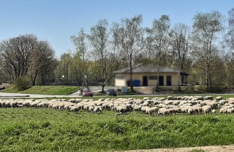 Deggendorf | © Barbara Leon (Deggendorf)