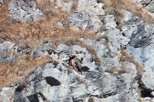 Dagmar am Fels sitzend  |© Silke Moll