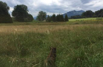 Oberallgäu | © Daniela Frey (Oberallgäu)