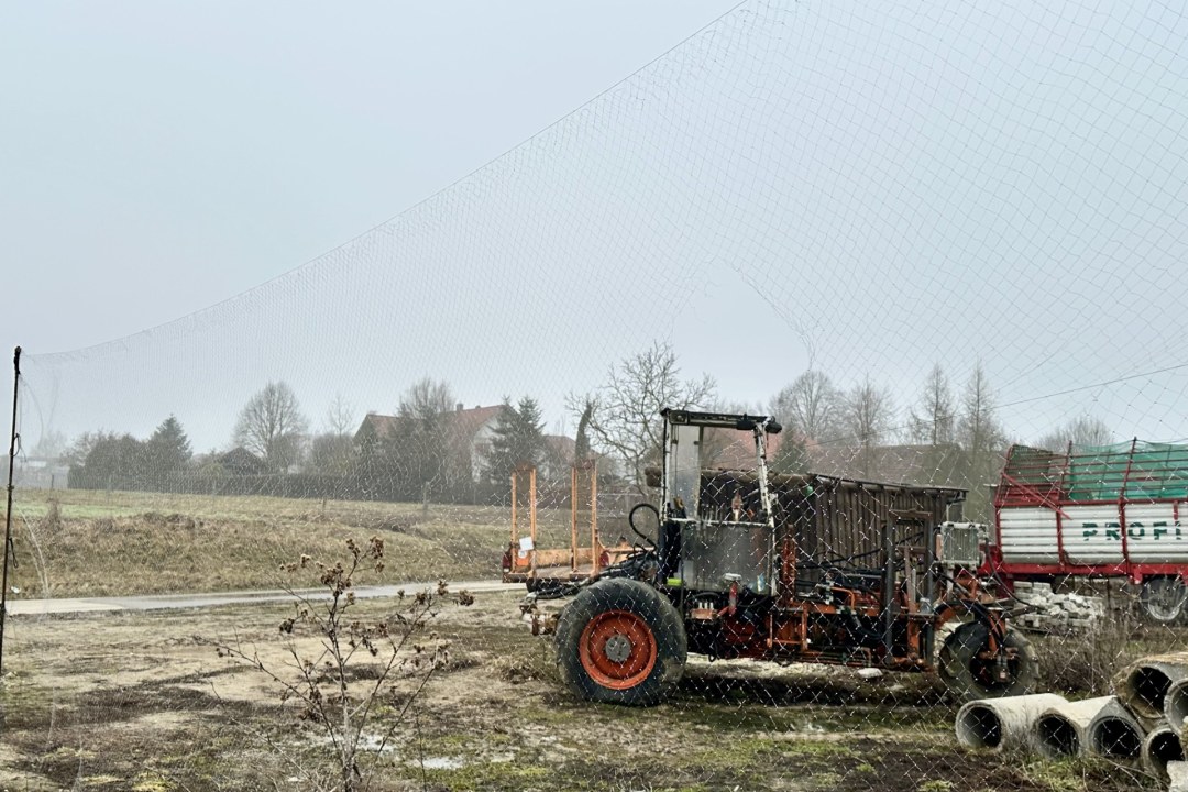 Fangnetz Singvögel  | © Bettina Schröfl