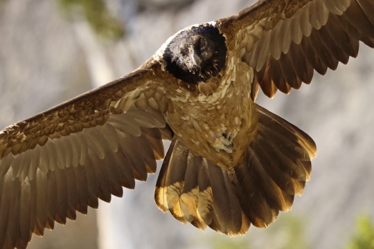 Bavaria | © Markus Leitner