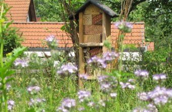 Insektenhotel steht in einer Blumenwiese | © Birgit Helbig