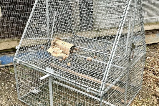 Illegale Klappfalle | © Bettina Schröfl