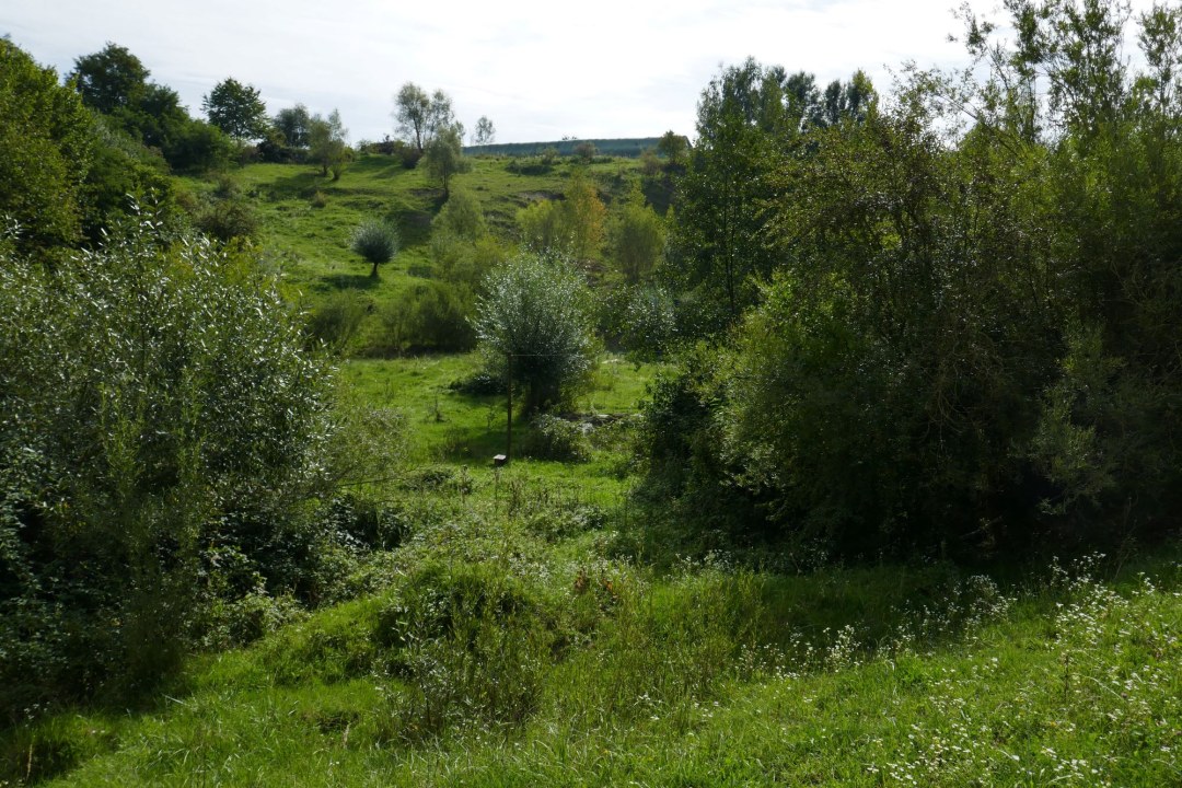 LBV-Schutzgebiet Kiesgrube Winkl | © Nadja Danner