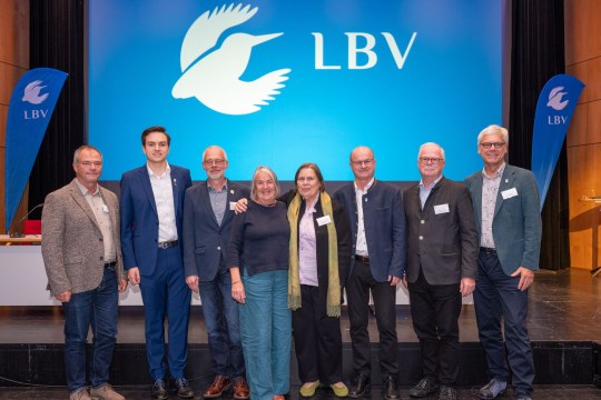 Neuer LBV-Landesvorstand 2026 (v.l.n.r.: Markus Bachmann, Luca Ernemann, Frank Reißenweber, Brigitte Kraft, Doris Thurau, Dr. Norbert Schäffer, Dr. Ludger Arnoldussen, Dr. Martin Trapp) | © Tobias Tschapka