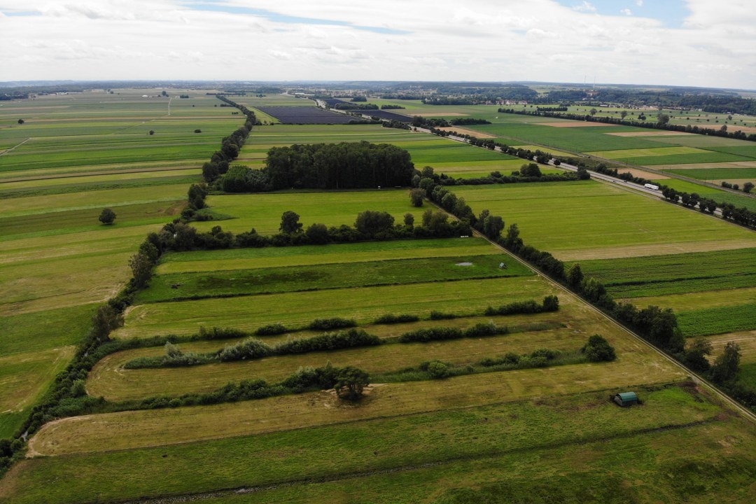 LBV-Schutzgebiet Oberndorfer Ried von oben | © LBV