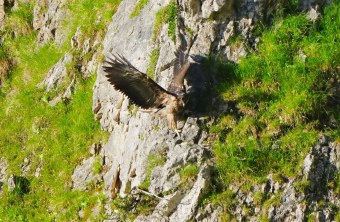 Luisa kurz vor ihrem Erstflug |© Christian Steiger